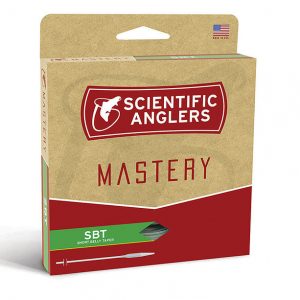 SA Mastery SBT