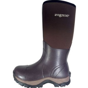 Avignon Aspen High