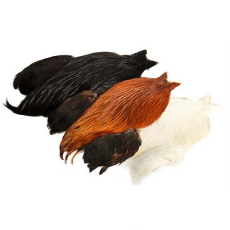 Whiting_4B_Rooster_Cape