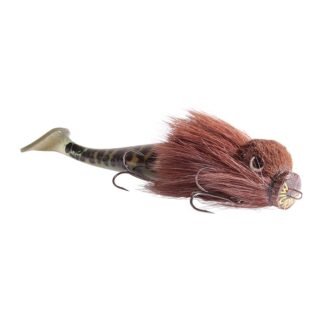 Miuras Mouse Pig Shad